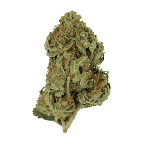 Bubblegum – 1 ounce | WhitePalm Canada