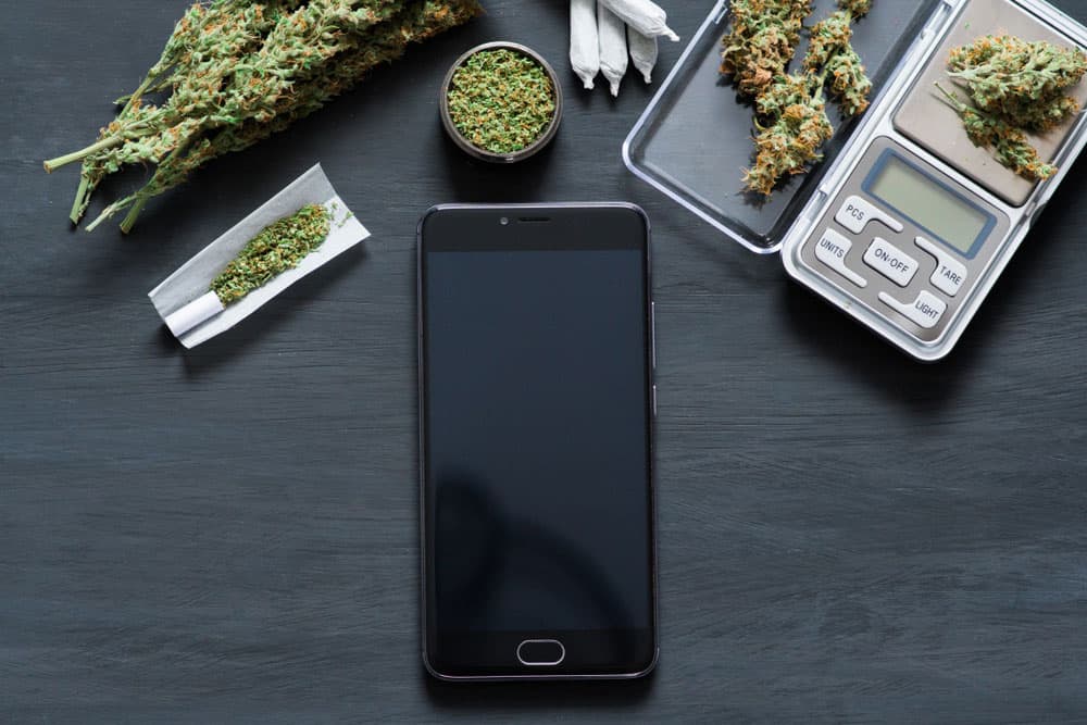 Top 5 Reasons is Better to Buy cannabis Online | WhitePalm Canada