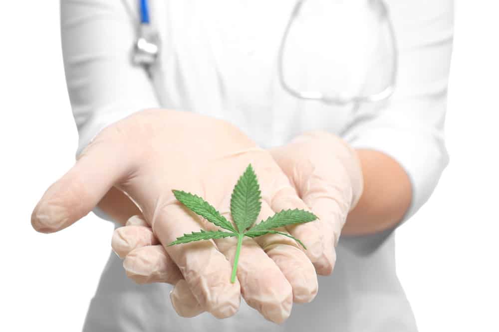 Cannabis as a natural cure for pain | WhitePalm Canada