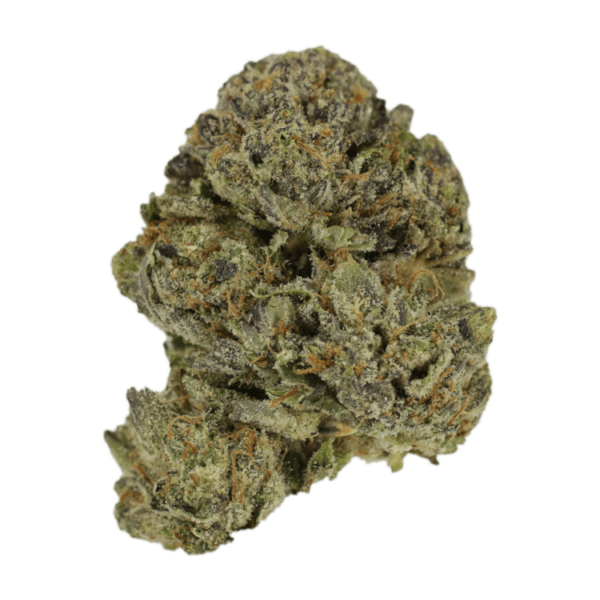 Lavender | WhitePalm Canada