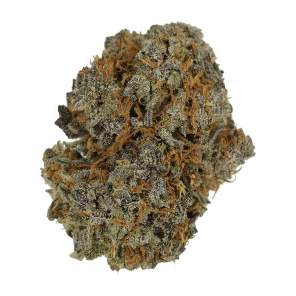 Jack Herer 1 Ounce | WhitePalm Canada