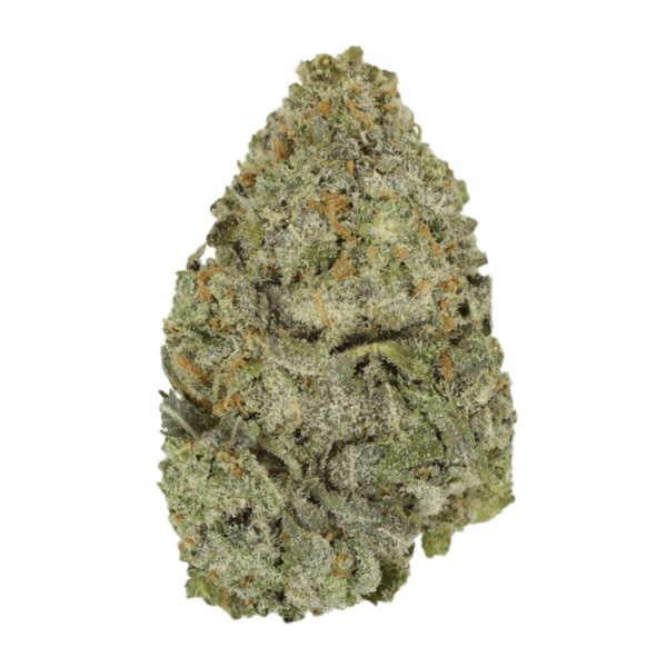 Lemon Meringu- | WhitePalm Canada