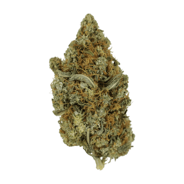 Jack Herer 1 Ounce | WhitePalm Canada