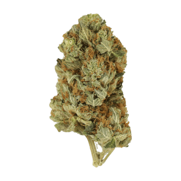 Jet Fuel | WhitePalm Canada