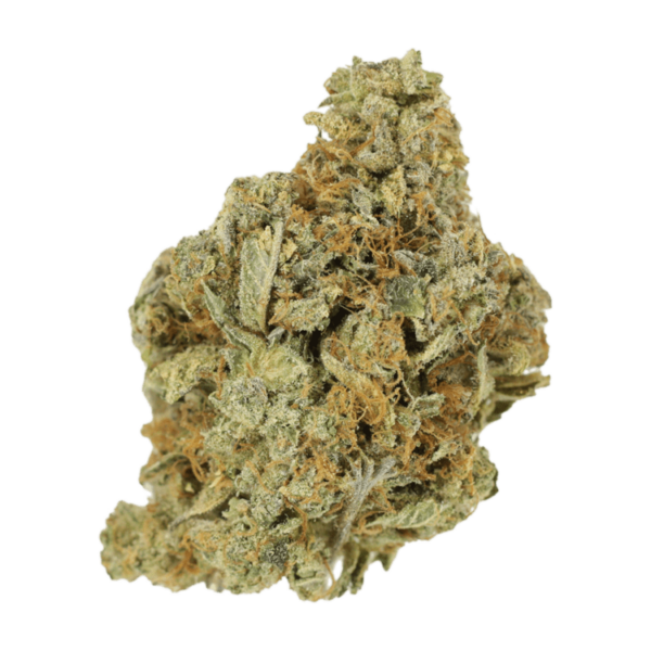 Jet Fuel | WhitePalm Canada