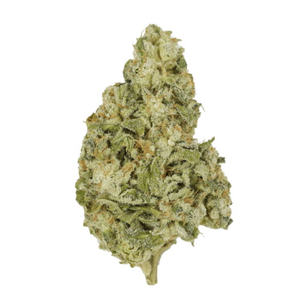 Zombie OG | WhitePalm Canada