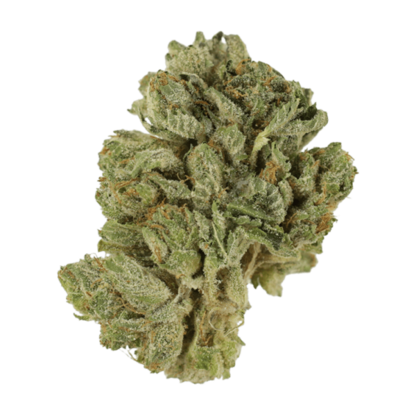 Northern Lights 2 for $69 | WhitePalm Canada