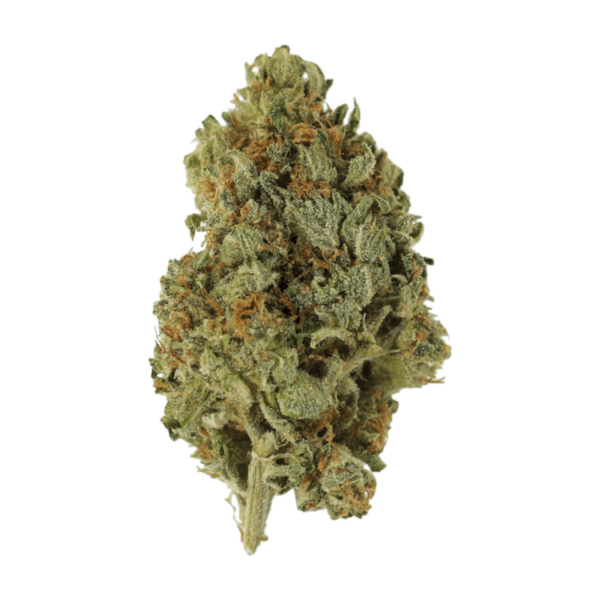 Sugar Cookies | WhitePalm Canada