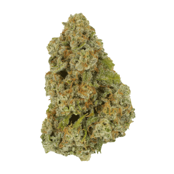 Colorado Diesel | WhitePalm Canada