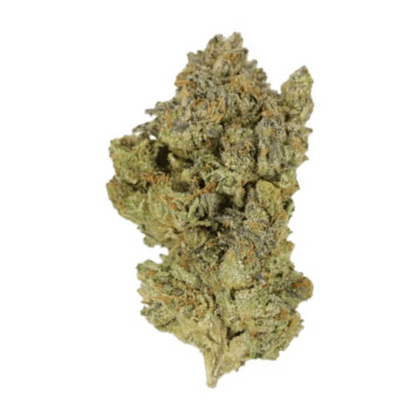 Golden Goat | WhitePalm Canada