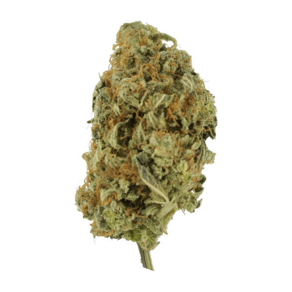 Lollypop – 1 ounce | WhitePalm Canada