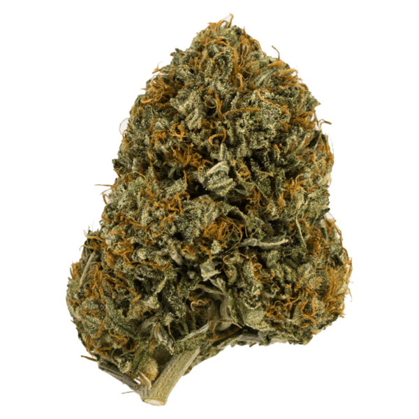 Wifi OG – 1 ounce | WhitePalm Canada