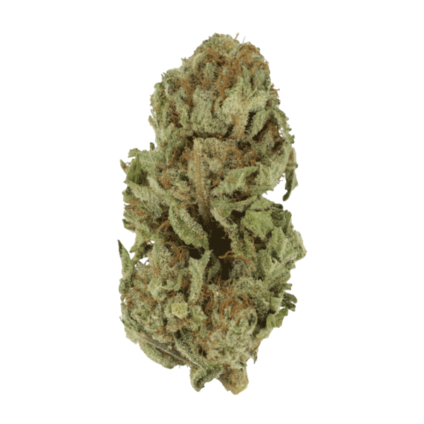 Golden Goat | WhitePalm Canada