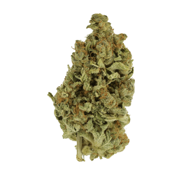 Cali Gold | WhitePalm Canada