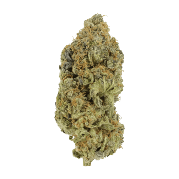 Critical Widow | WhitePalm Canada