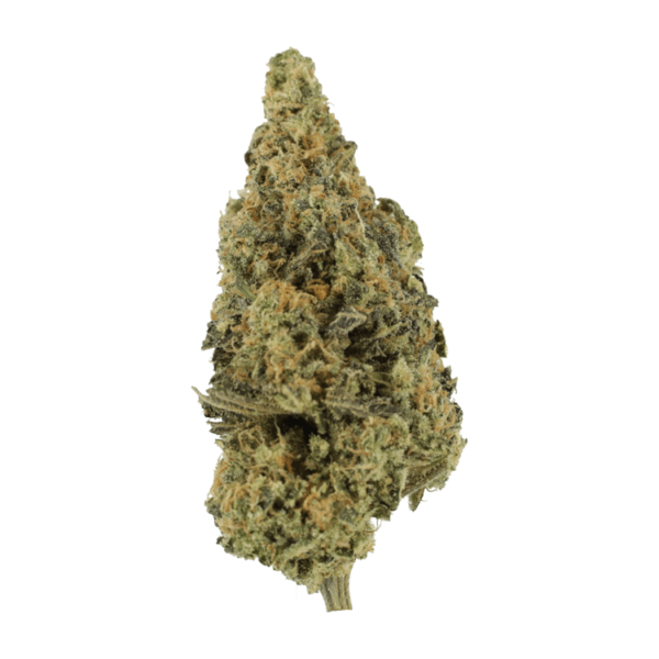 Lava Fuel | WhitePalm Canada