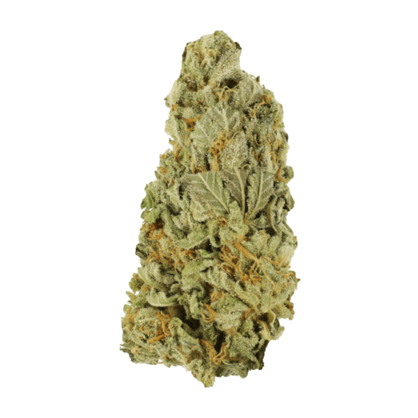 Green Congo | WhitePalm Canada