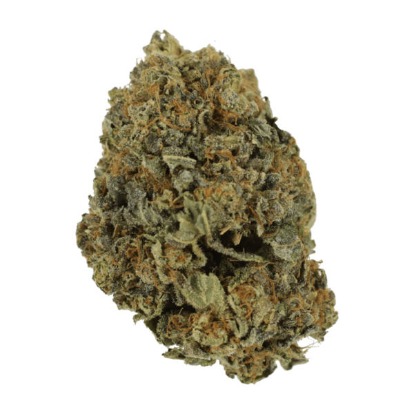 White Shark – 1 ounce | WhitePalm Canada