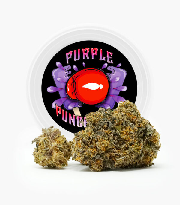 Westcoast Cali Tins – Premium Flower – Purple Punchsicle – 14g | WhitePalm Canada