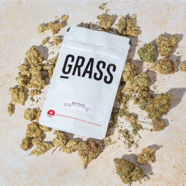 1/2OZ Sample Pack (AAA) – SAVE 20% | WhitePalm Canada