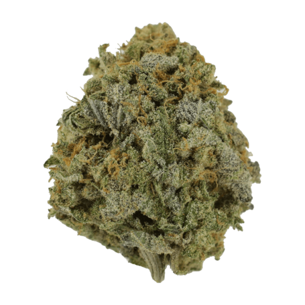 Pink Tuna (Popcorn) – $40/oz | WhitePalm Canada