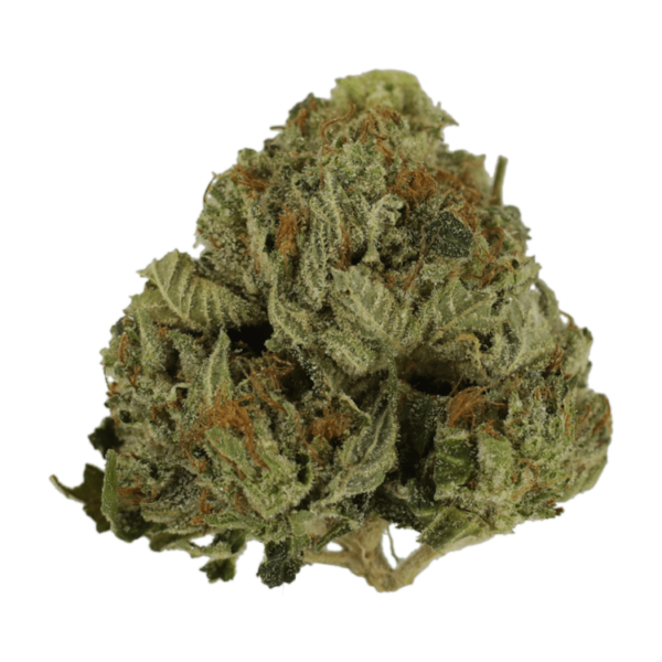 Pink Animal – 1 ounce | WhitePalm Canada