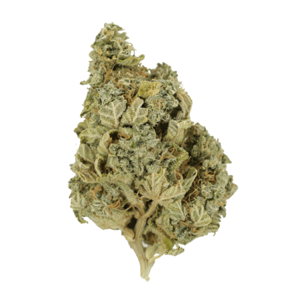 Khalifa Kush | WhitePalm Canada