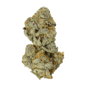 Bison Breath | WhitePalm Canada