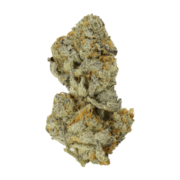 Bison Breath | WhitePalm Canada