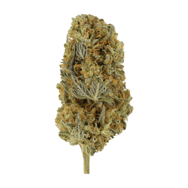 Headband | WhitePalm Canada