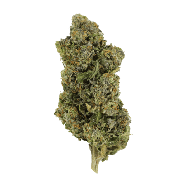 Jokerz | WhitePalm Canada