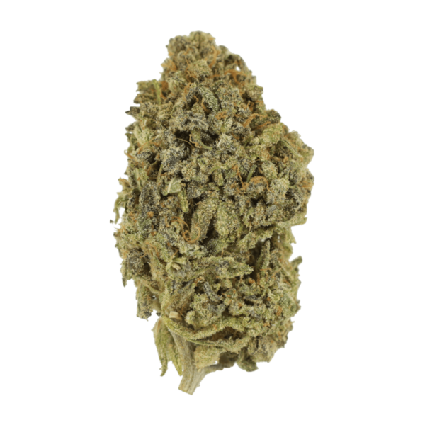 Watermelon Gelato | WhitePalm Canada