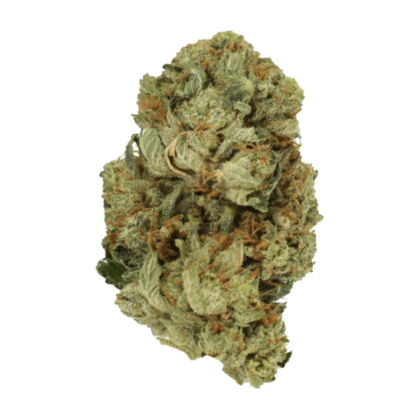 Pink Starburst | WhitePalm Canada