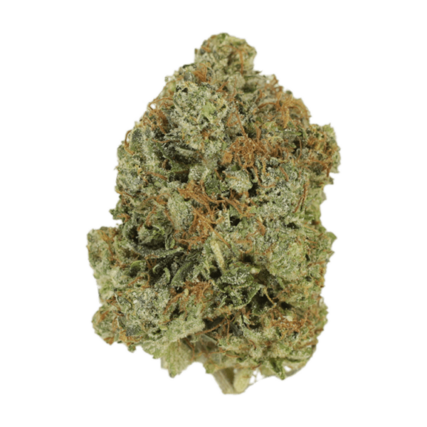 Jack Herer (popcorn) | WhitePalm Canada