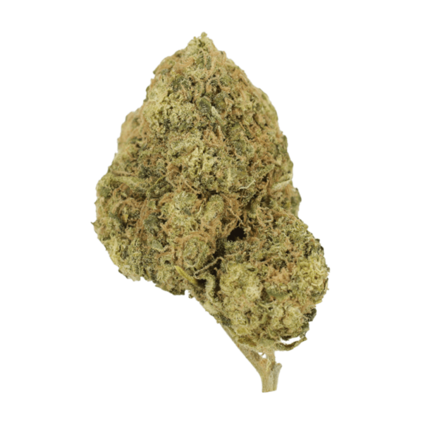 Laughing Buddha | WhitePalm Canada