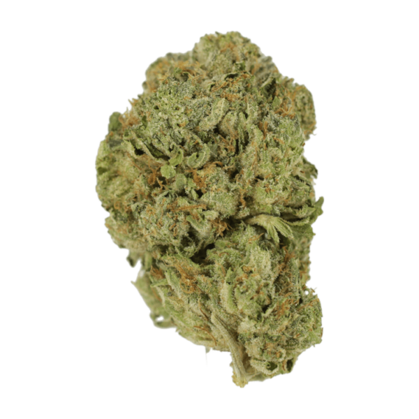 Super Blue Dream | WhitePalm Canada