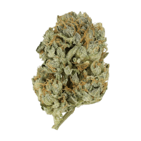 Kashmir Kush | WhitePalm Canada