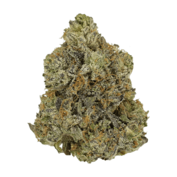 Rockstar | WhitePalm Canada