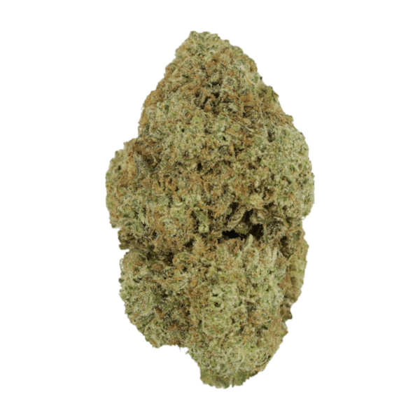 Vanilla Wafer | WhitePalm Canada