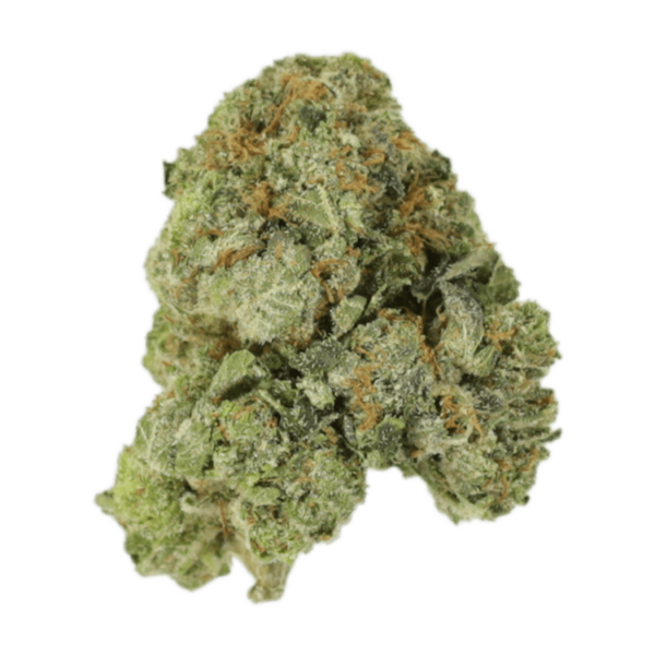 White Russian | WhitePalm Canada