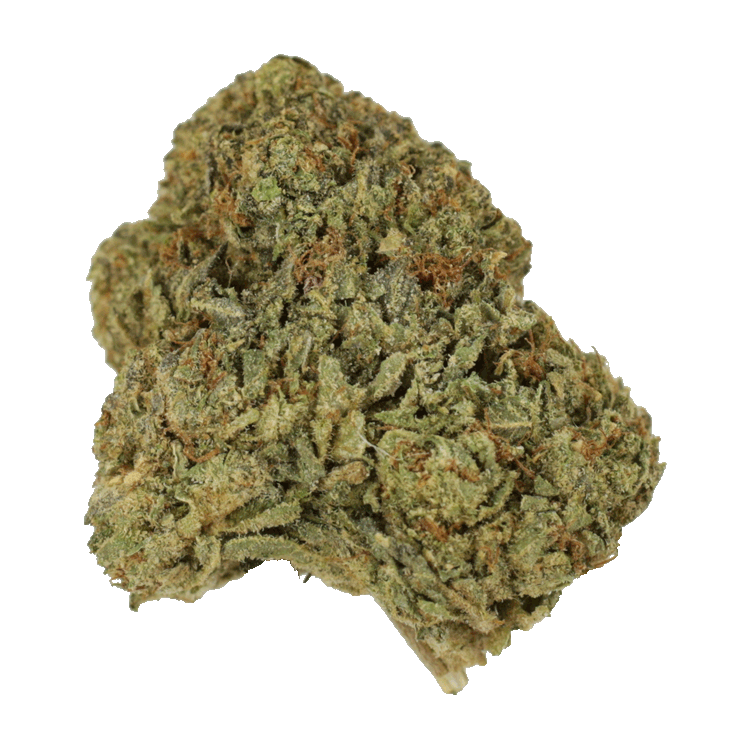 Bubba Cake | WhitePalm Canada Bubba Cake | WhitePalm Canada