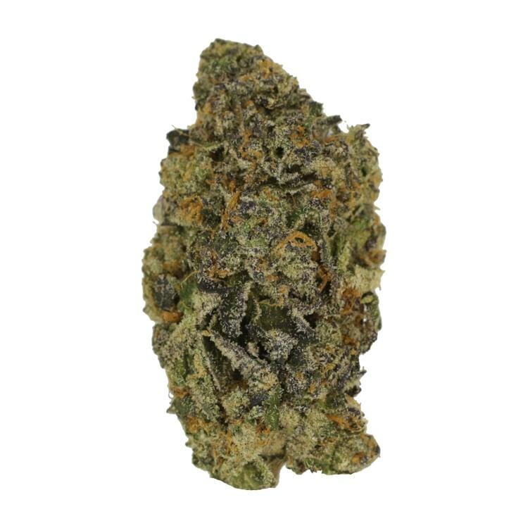Chocolate Frosted Sherbert | WhitePalm Canada Chocolate Frosted Sherbert | WhitePalm Canada