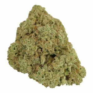 Rainbow Driver | WhitePalm Canada