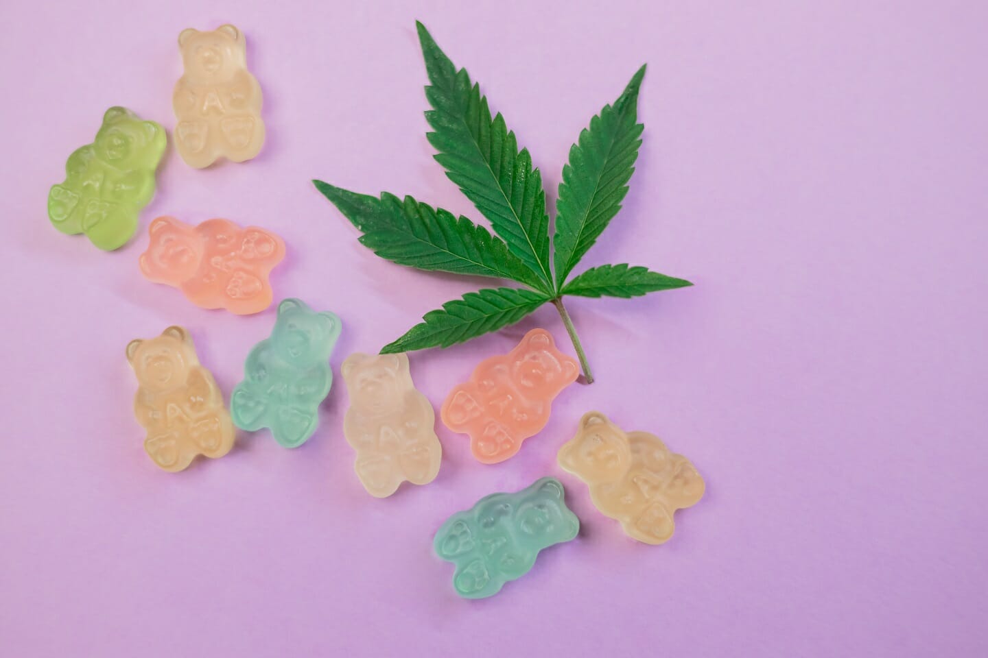 Cannabis Edibles | WhitePalm Canada