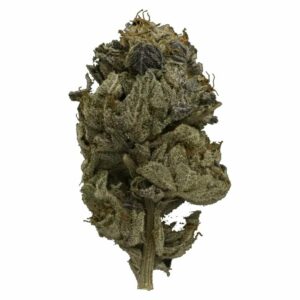 WhitePalm Canada - Pink Gas Strain | WhitePalm Canada