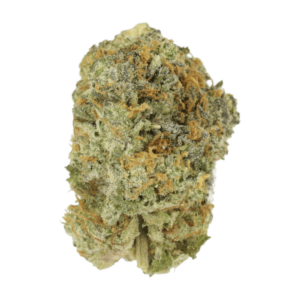 Slurricane | WhitePalm Canada