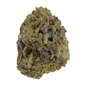 Snow Leopard | WhitePalm Canada