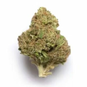 Supersonic | WhitePalm Canada