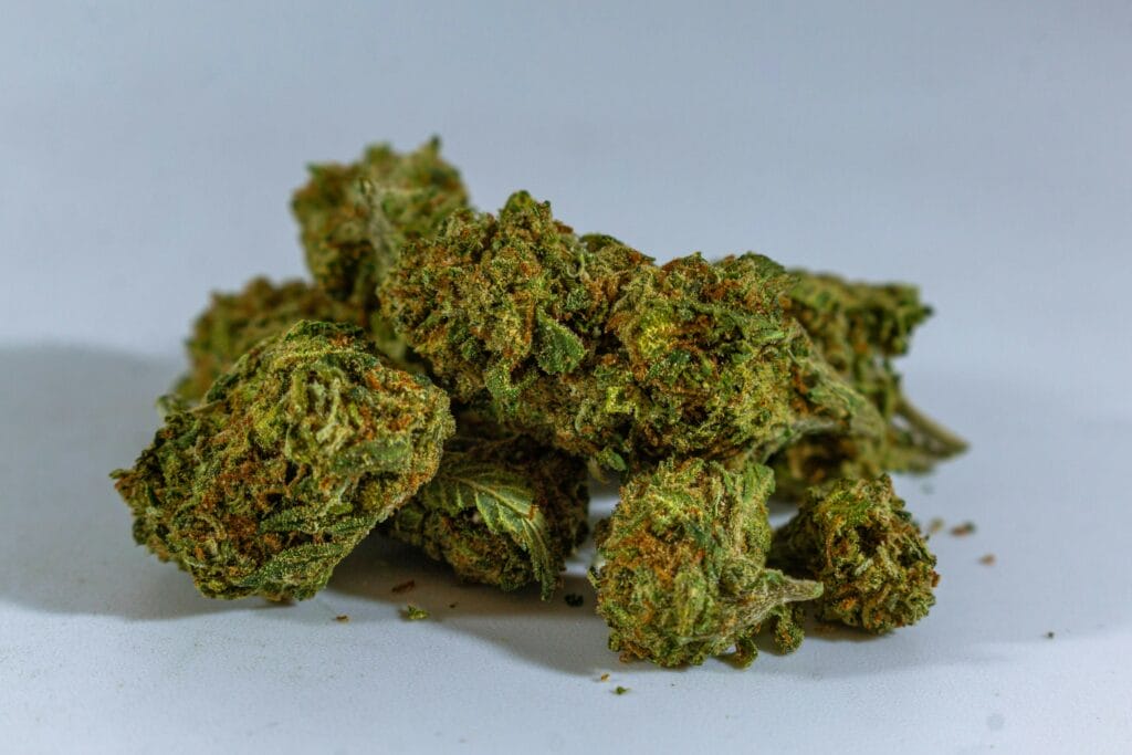 cheap-weed-online-canada | WhitePalm Canada