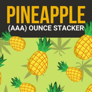 Pineapple 1 OZ Kit | WhitePalm Canada